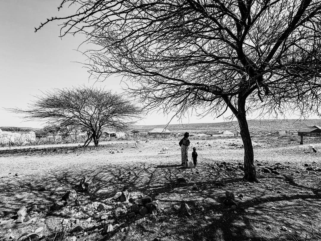 region images negari